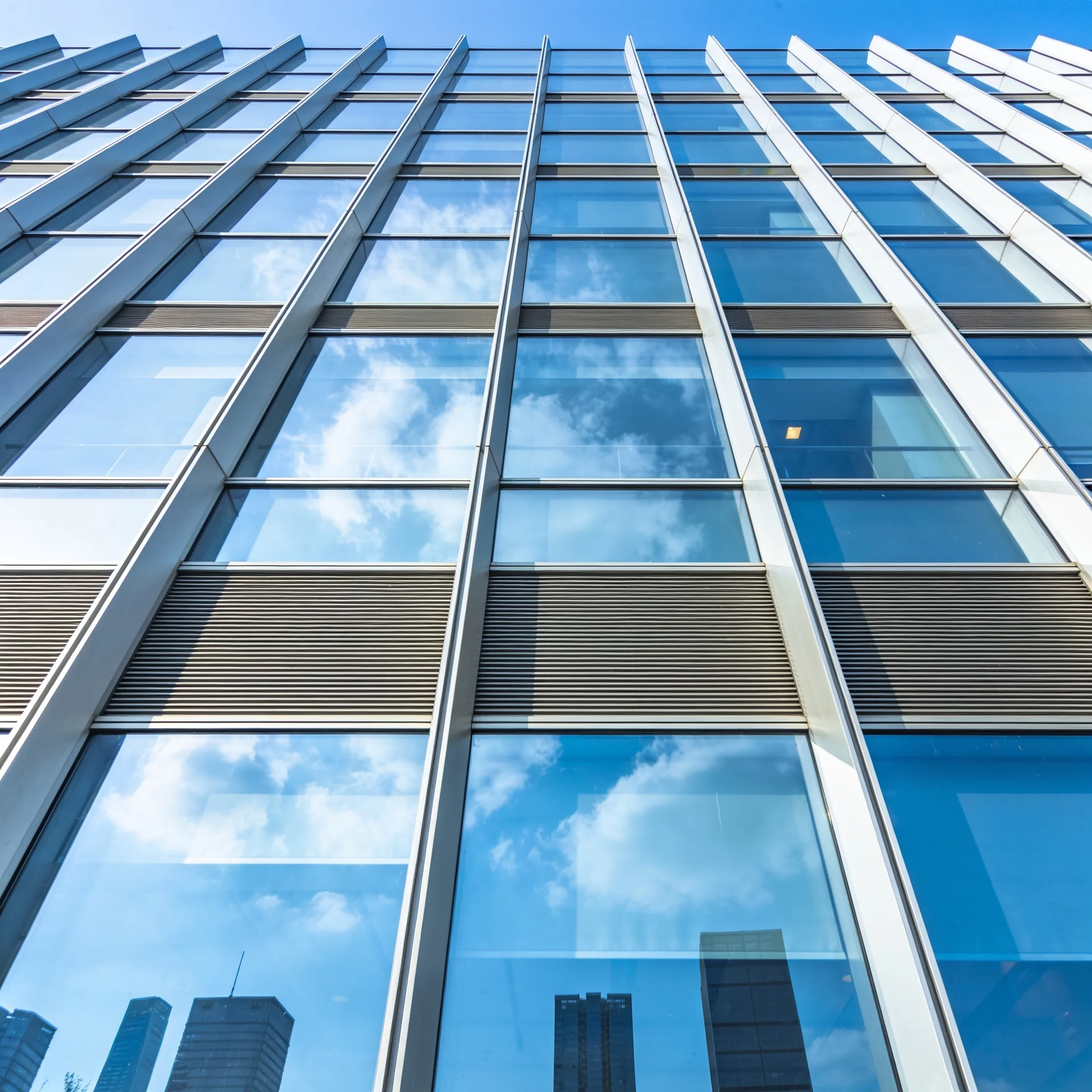 Window Cleaning gallery showcase 3